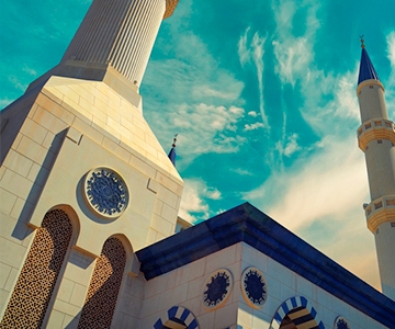 Live online Arabic language classes for professionals